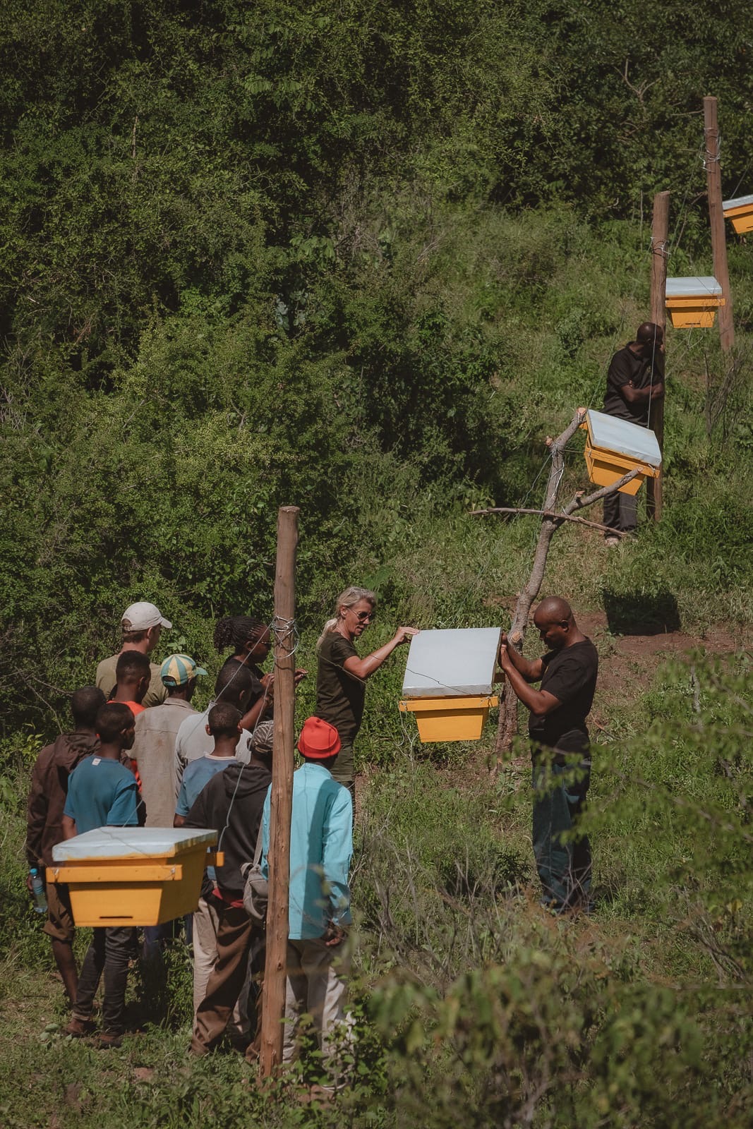 Community members installing bee hives along wildlife corridor boundary