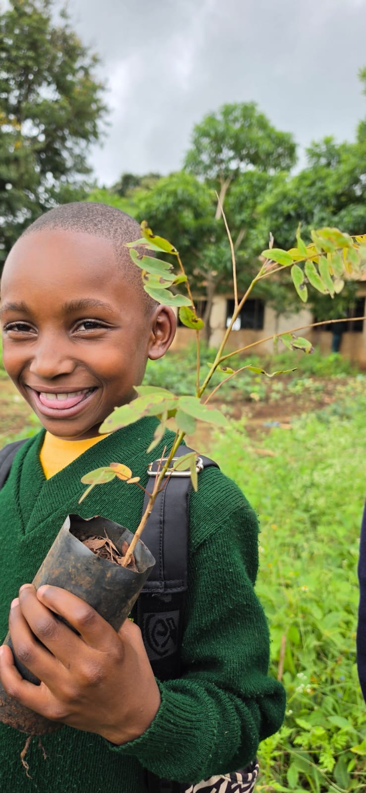 Child with tree seedling