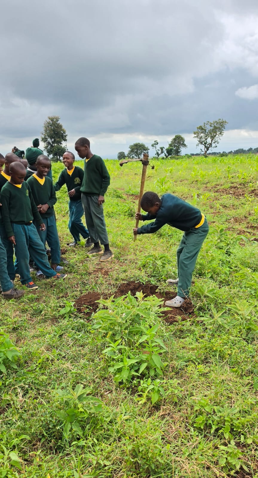 Children planting trees